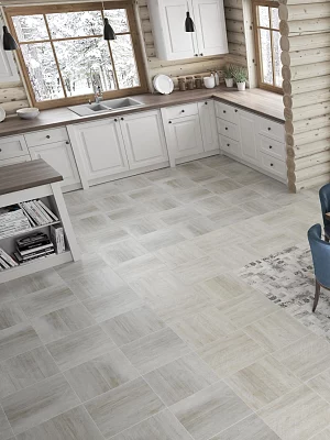 Керамогранит матовый Lasselsberger Айриш 6246-0048 серый 450*450*8